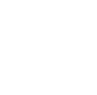 All About Flowers